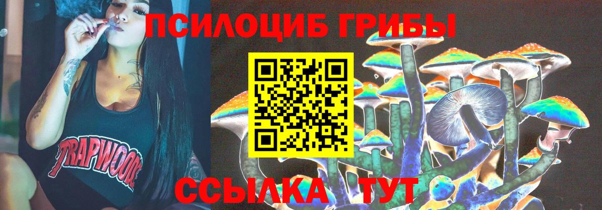 купить   Псилоцибиновые грибы прущие грибы  Вход с VPN  Карачаевск 